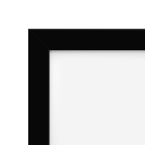 Zeppelin Wide Frame – Framefox