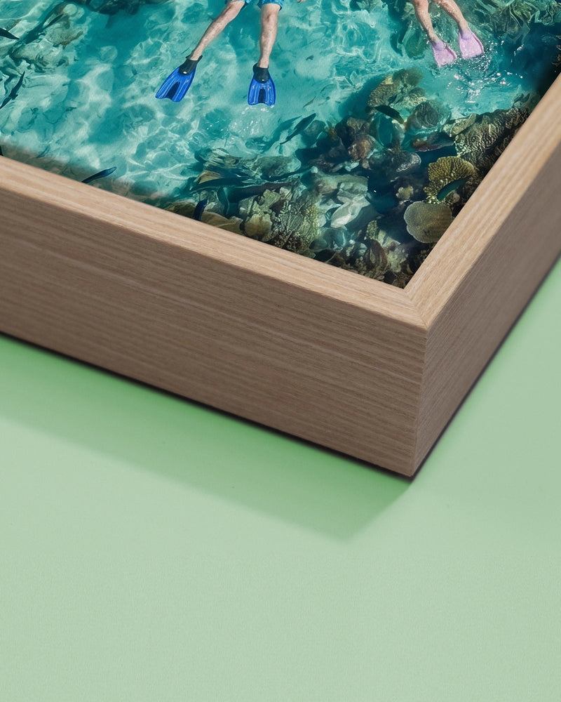 Canvas Print & Frame