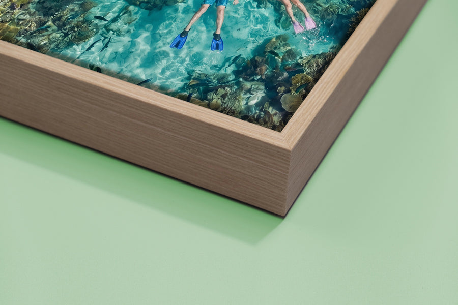 Canvas Print & Frame