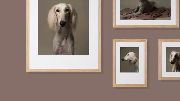 Fawn Skinny Frame – Framefox